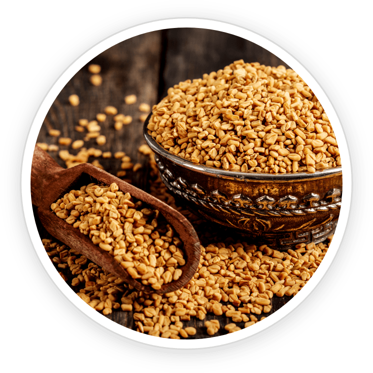 Fenugreek icon