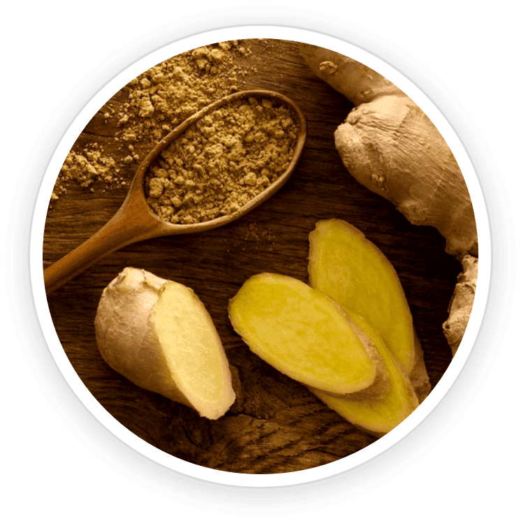 Organic Ceylon Ginger icon